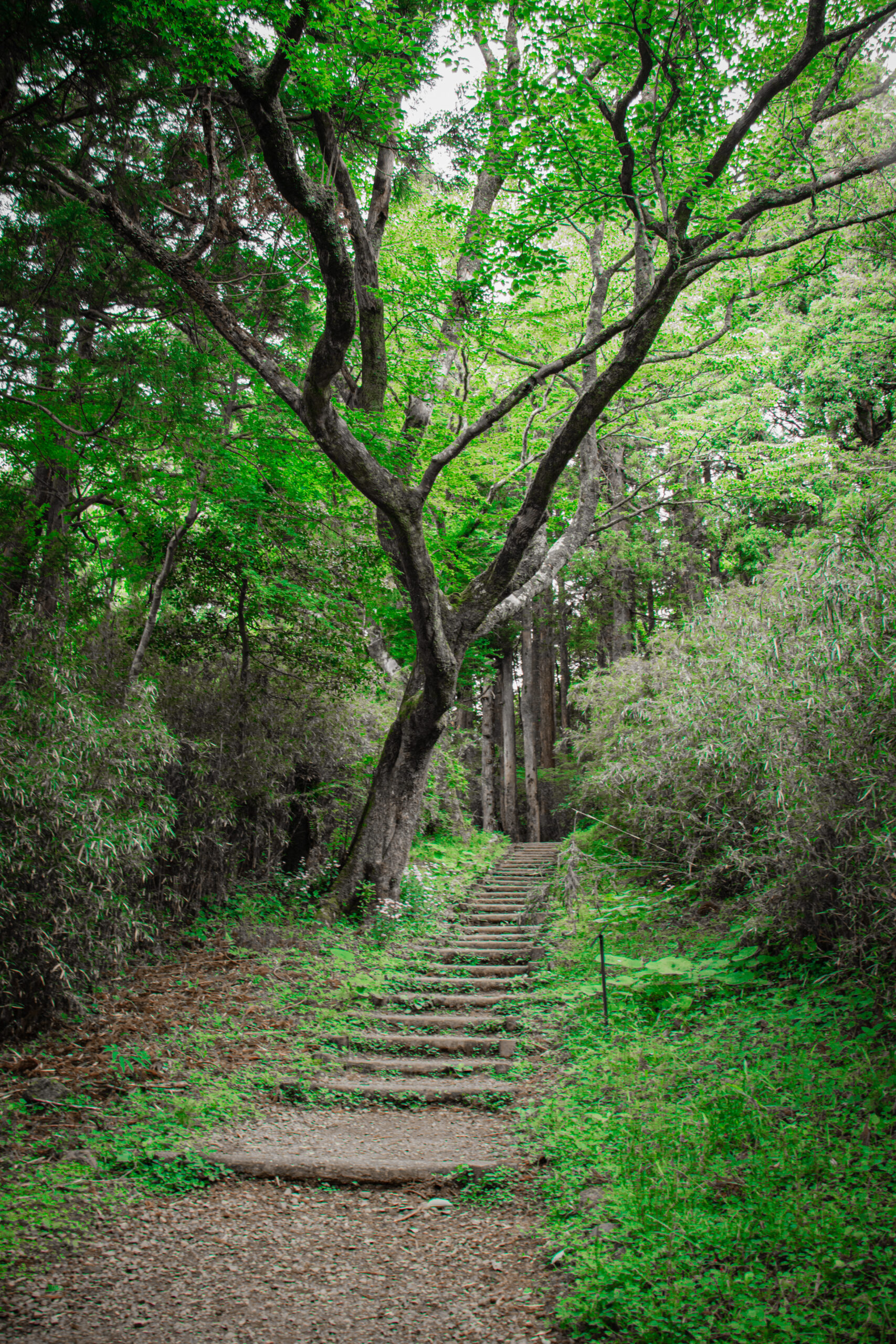 hakone japan