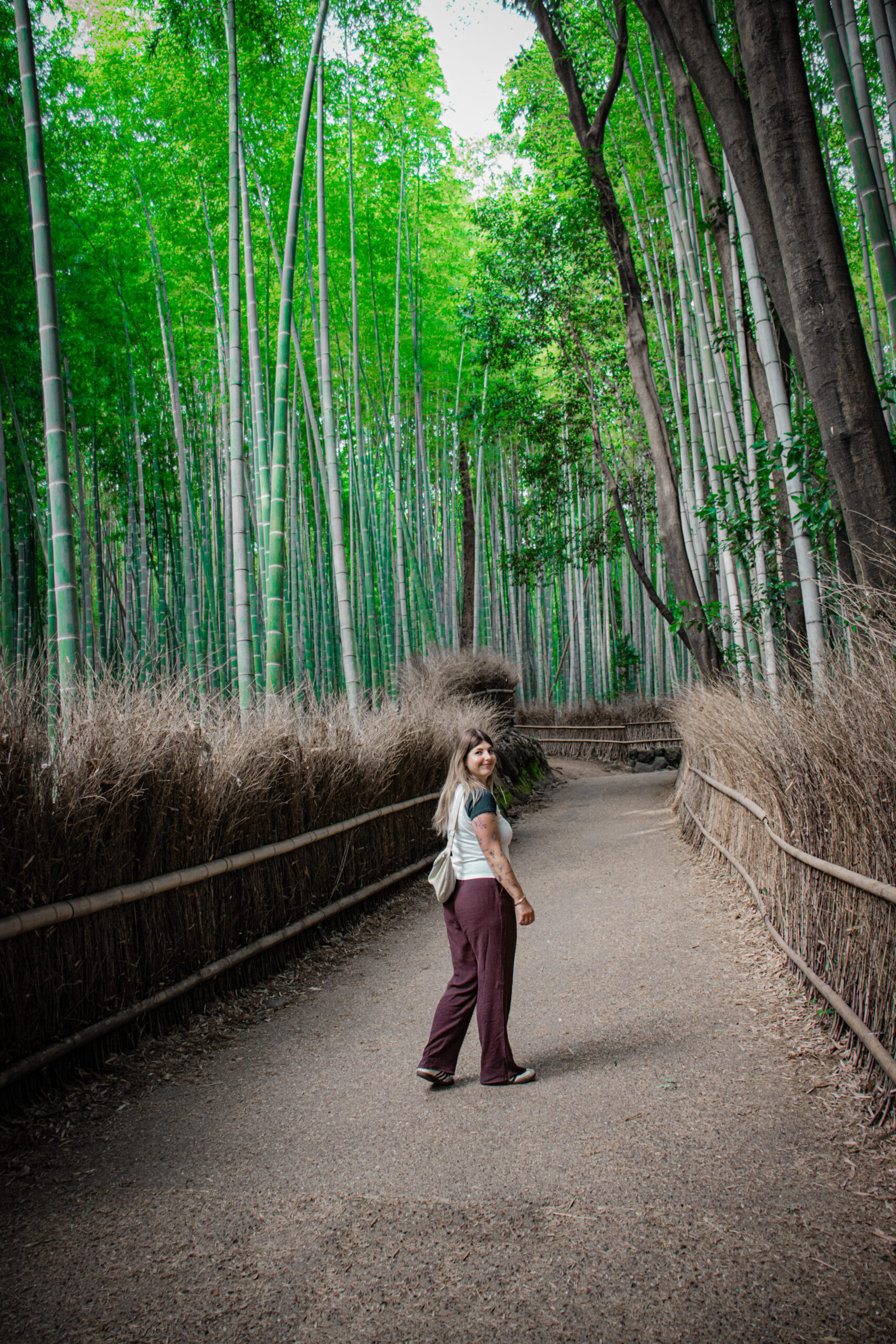 Kyoto japan foret de bambou
