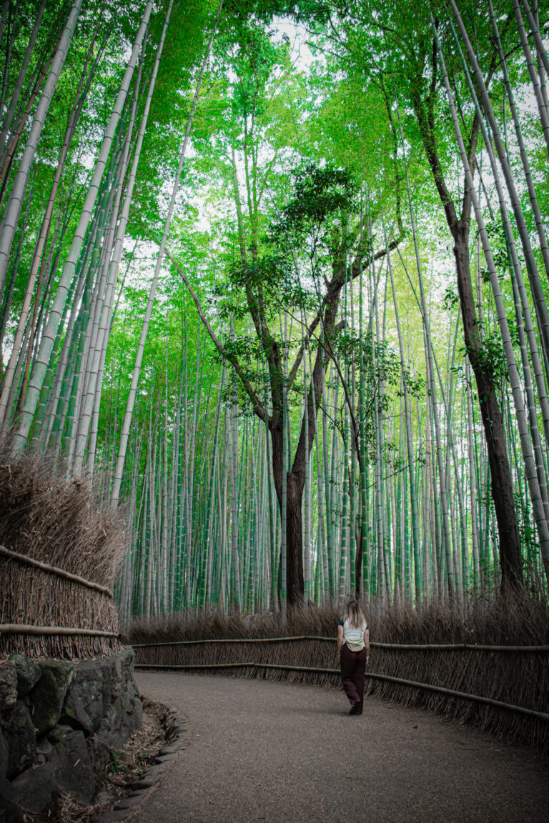 Kyoto japan