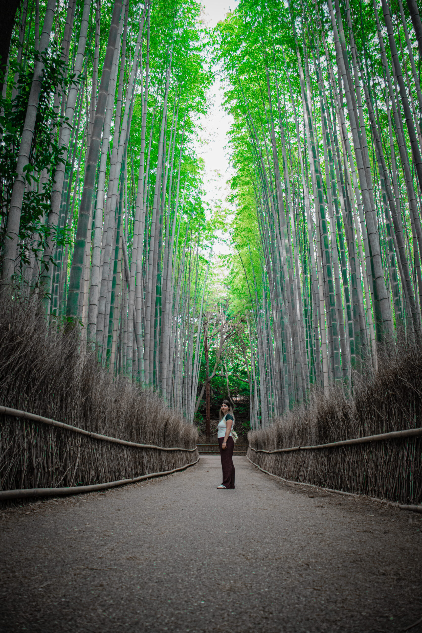 Kyoto japan