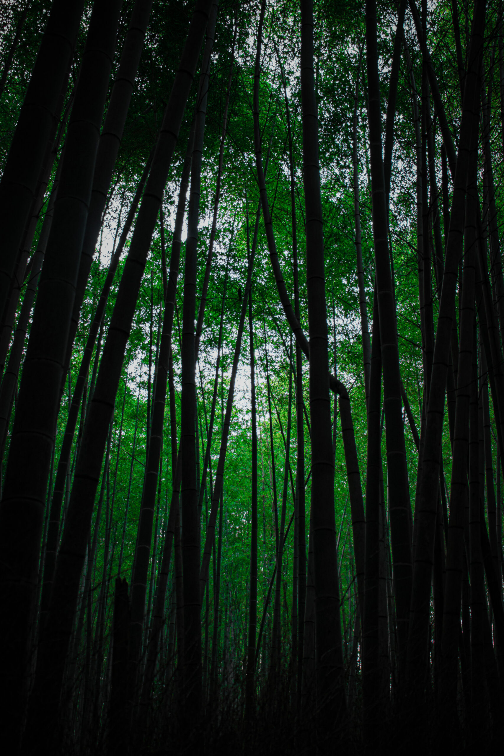 Kyoto japan