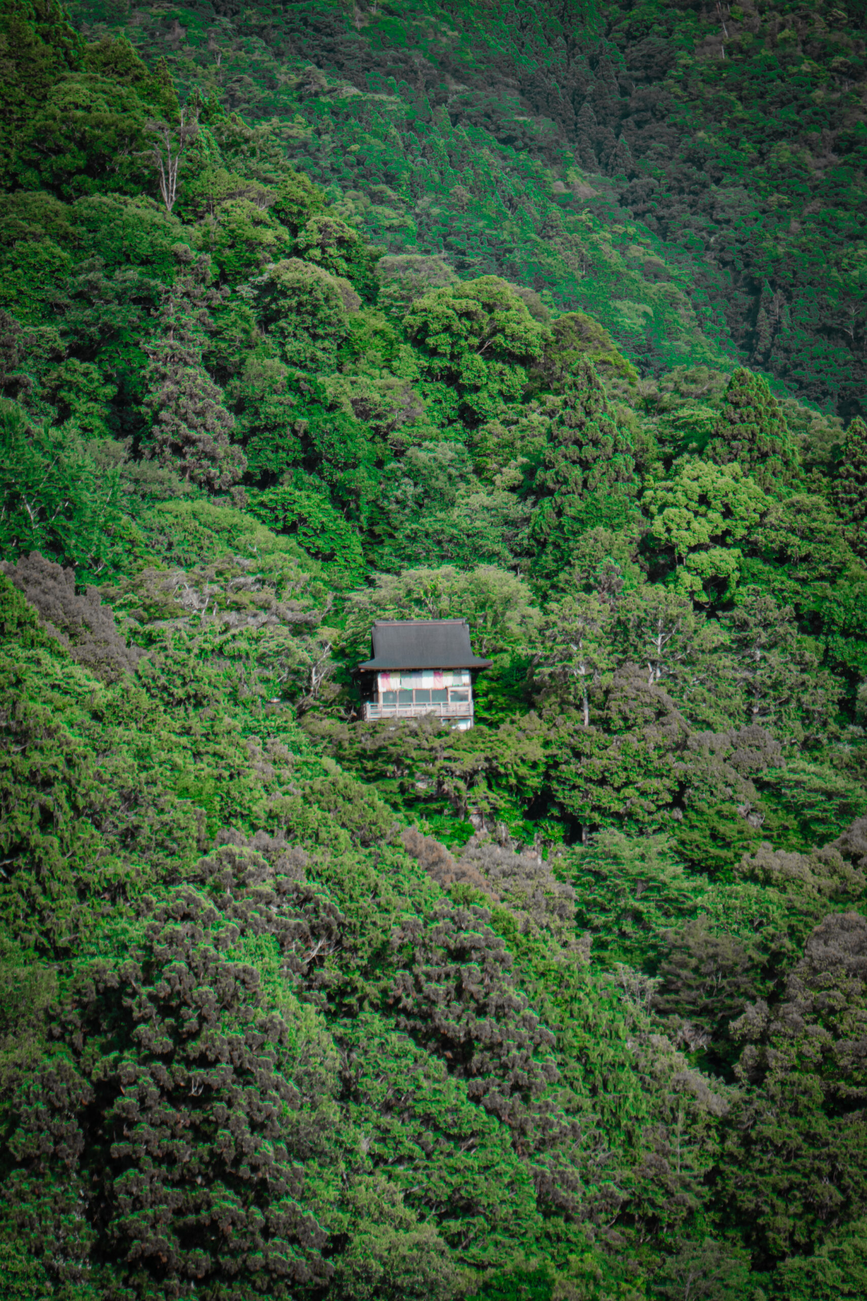 Kyoto japan