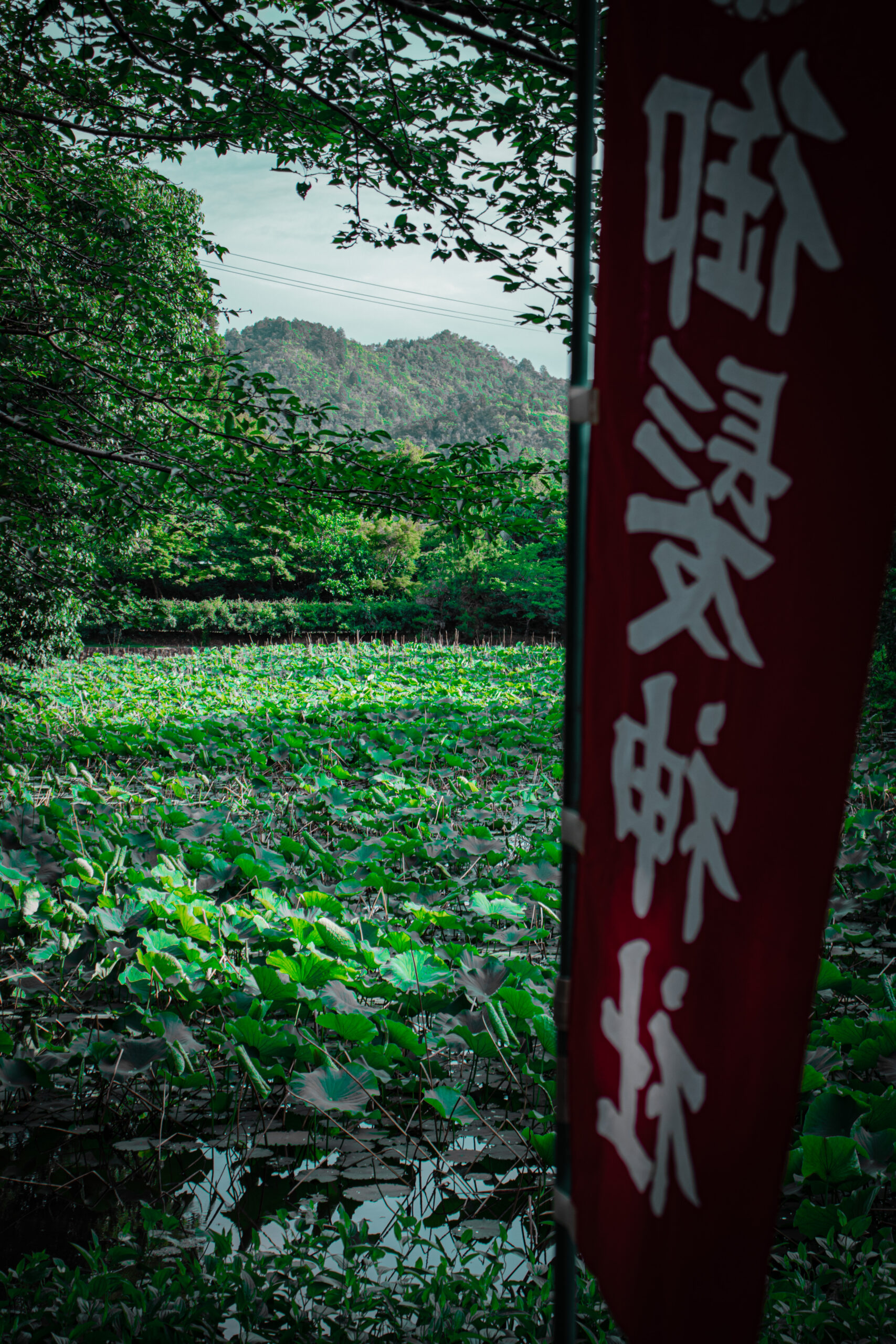 Kyoto