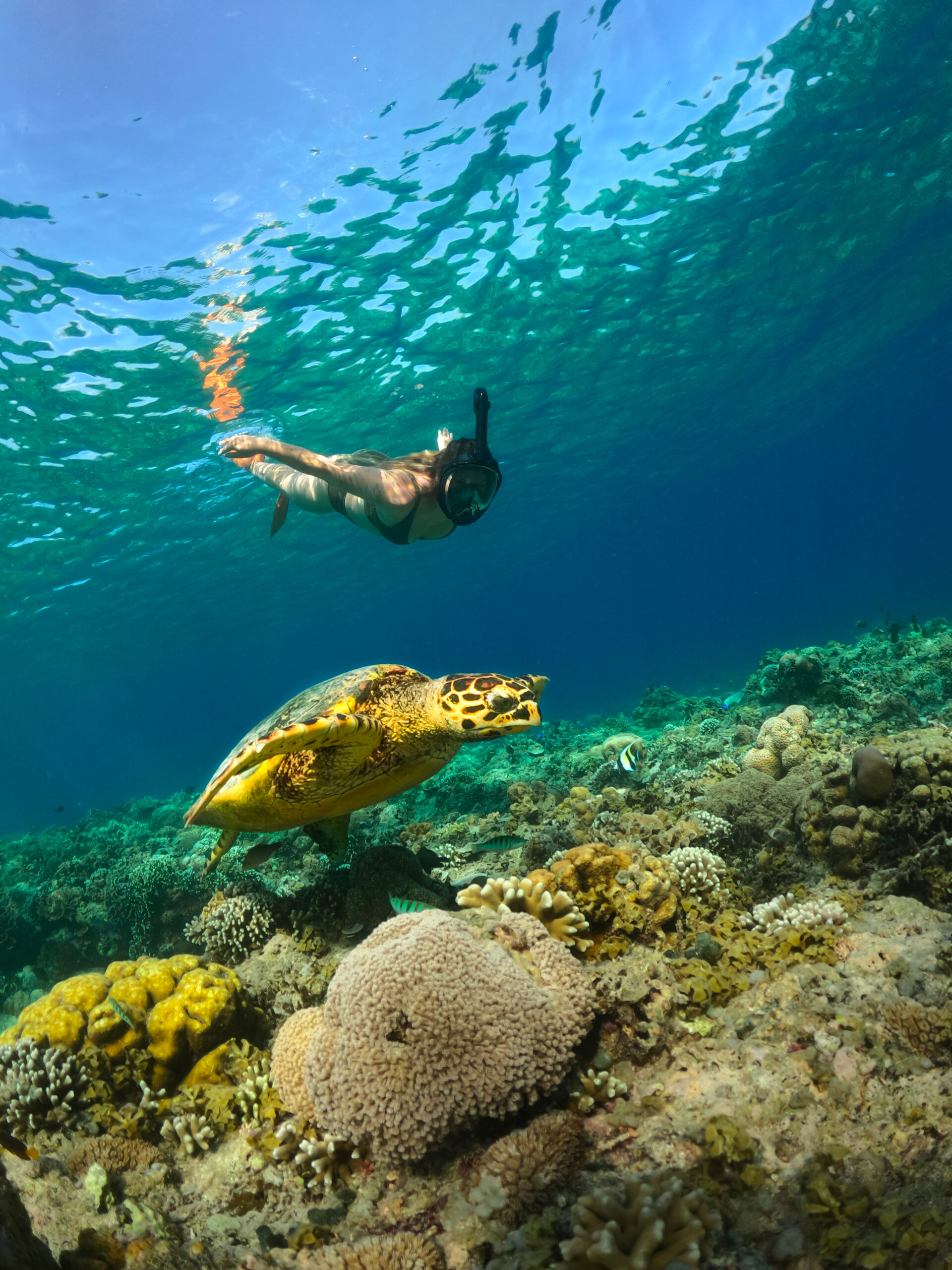 Iles Gili Indonesie