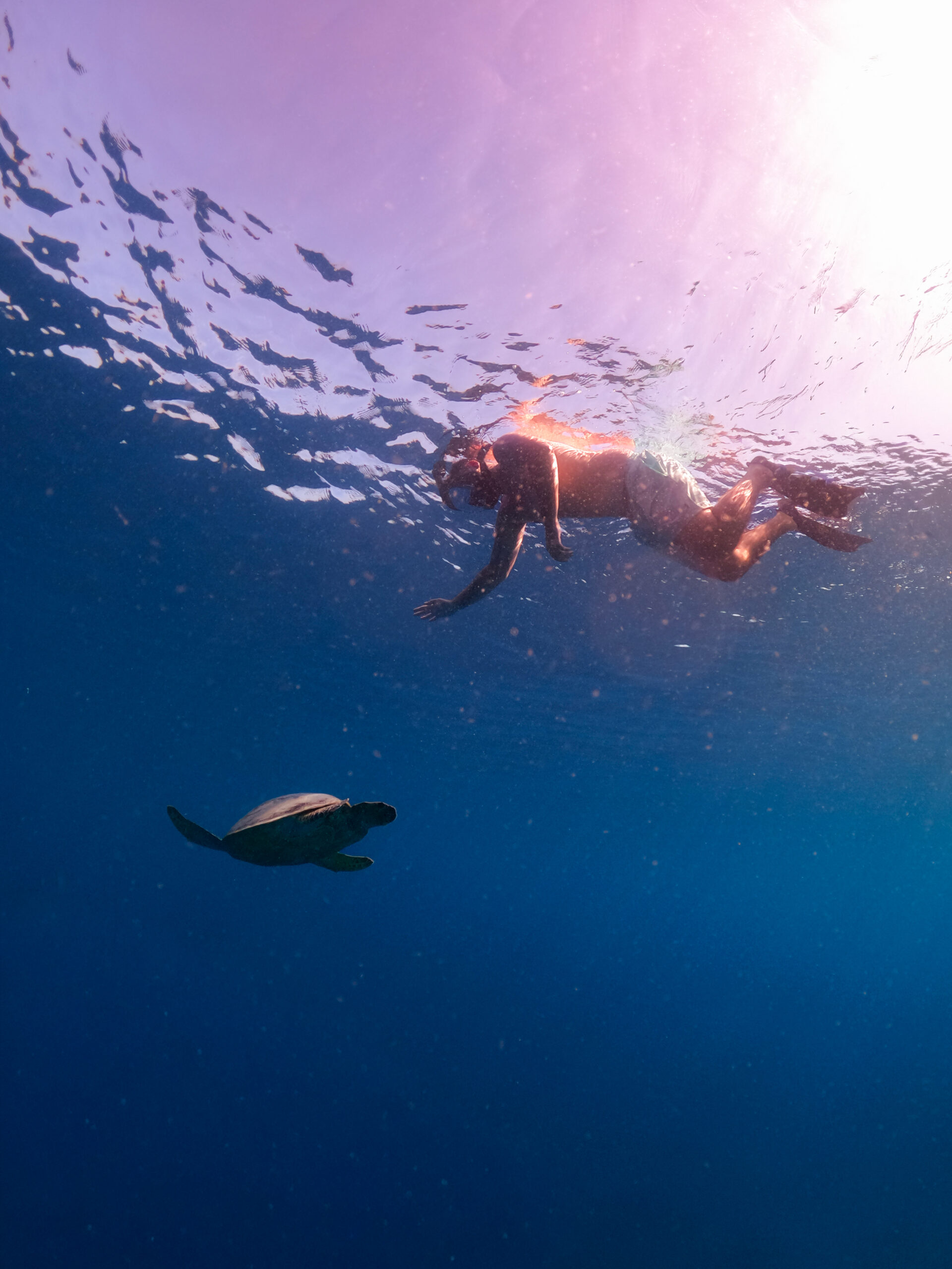 Iles Gili Indonesie
