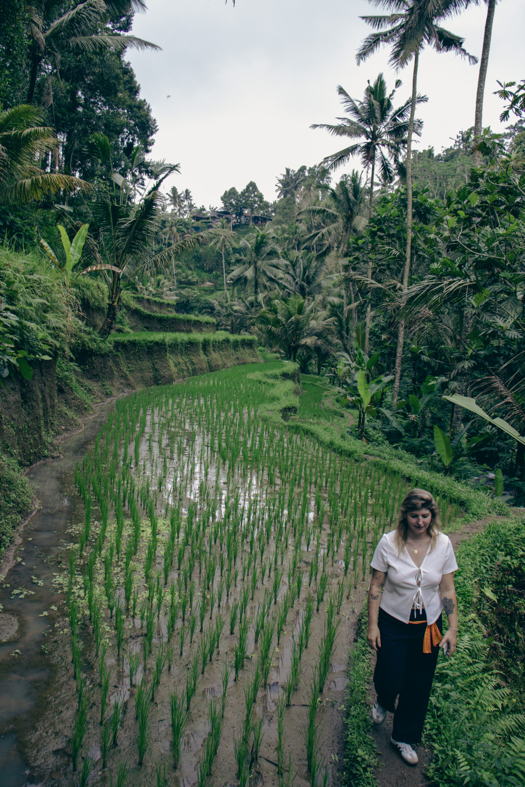 Bali Ubud
