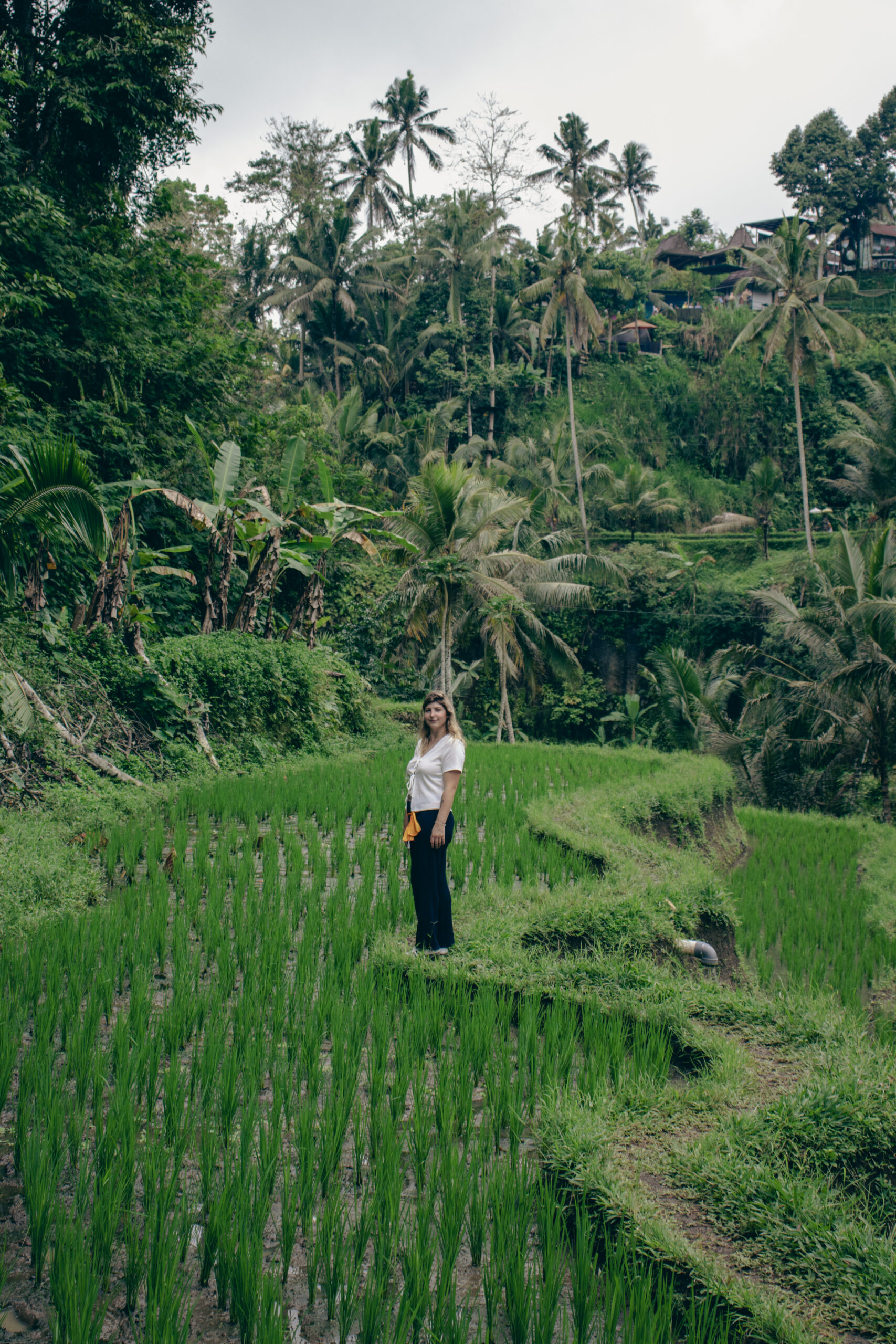 Bali Ubud