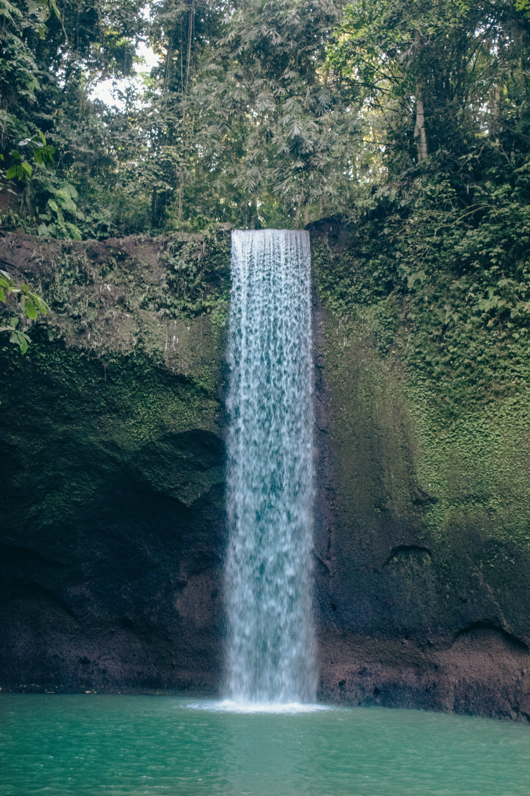 Bali Ubud