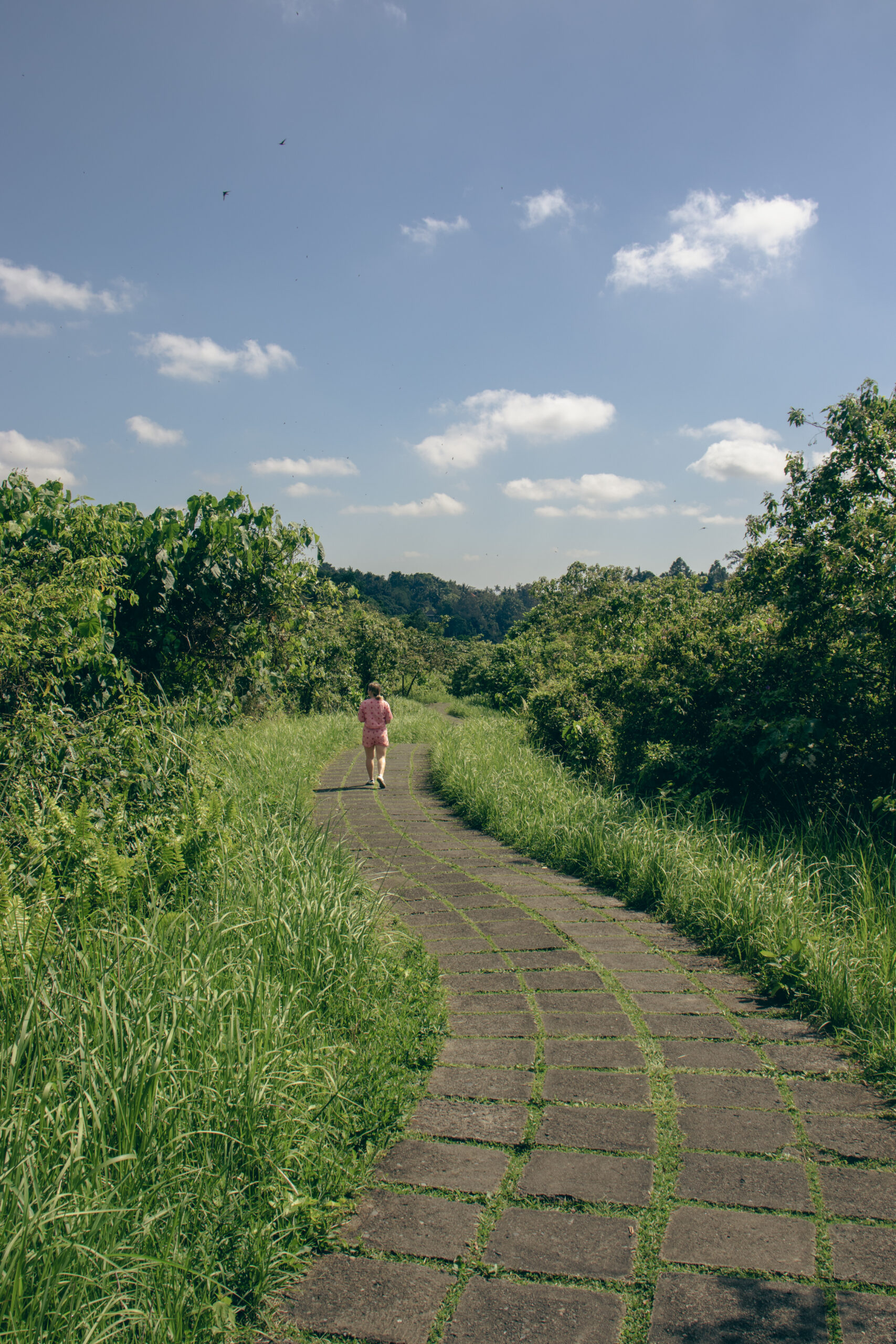 Bali Ubud