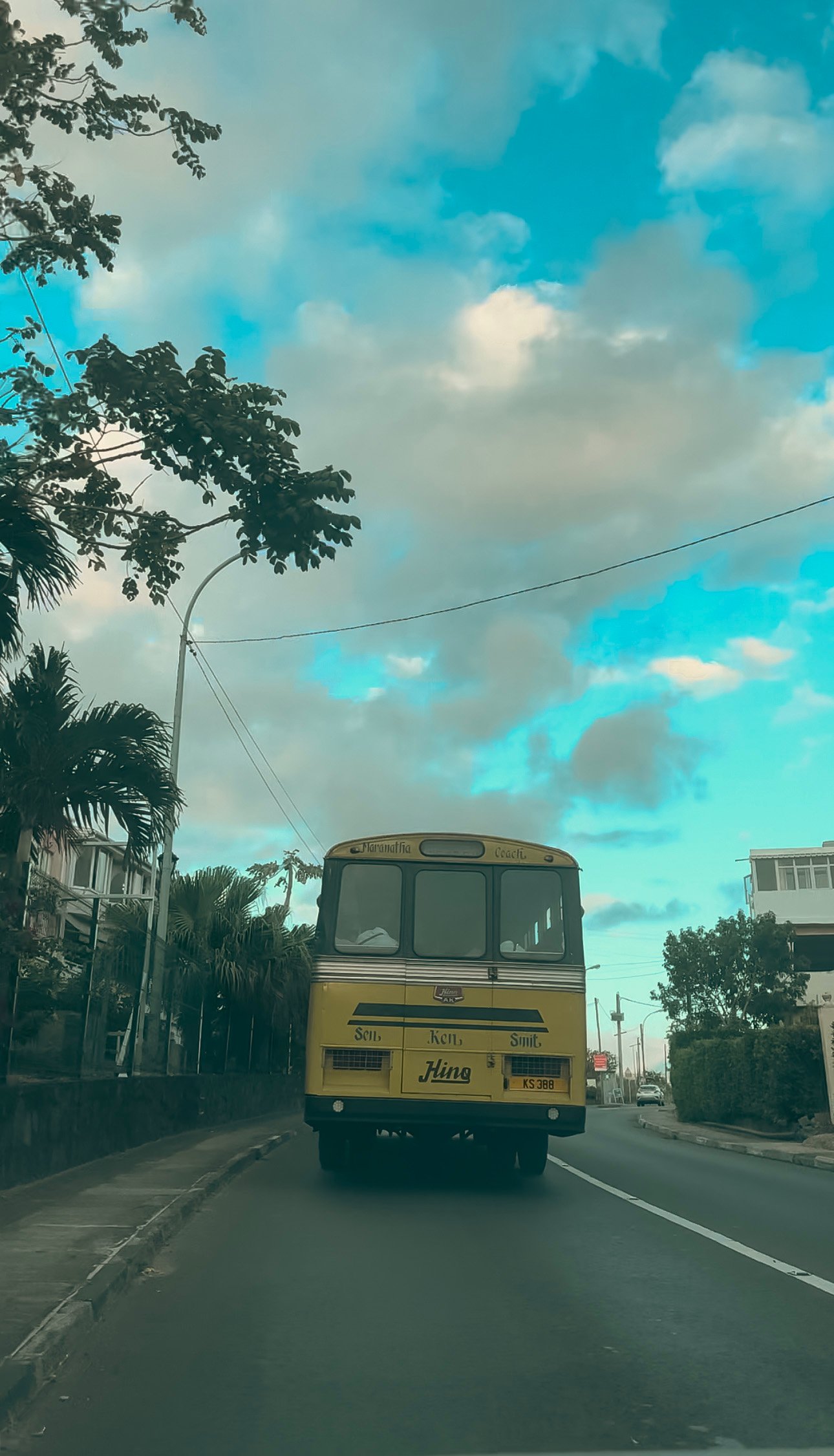 bus ile maurice