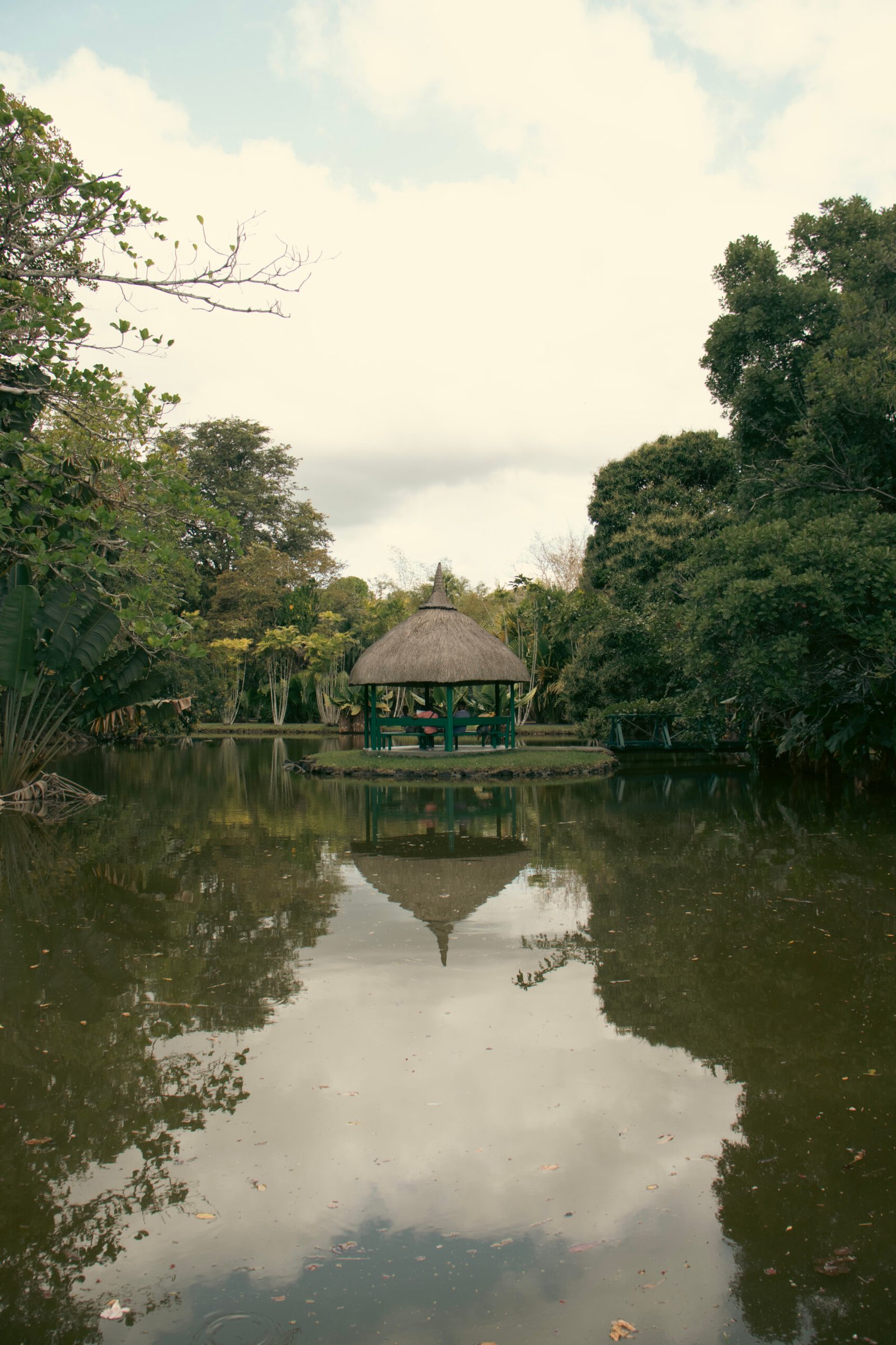 parc ile maurice paysage