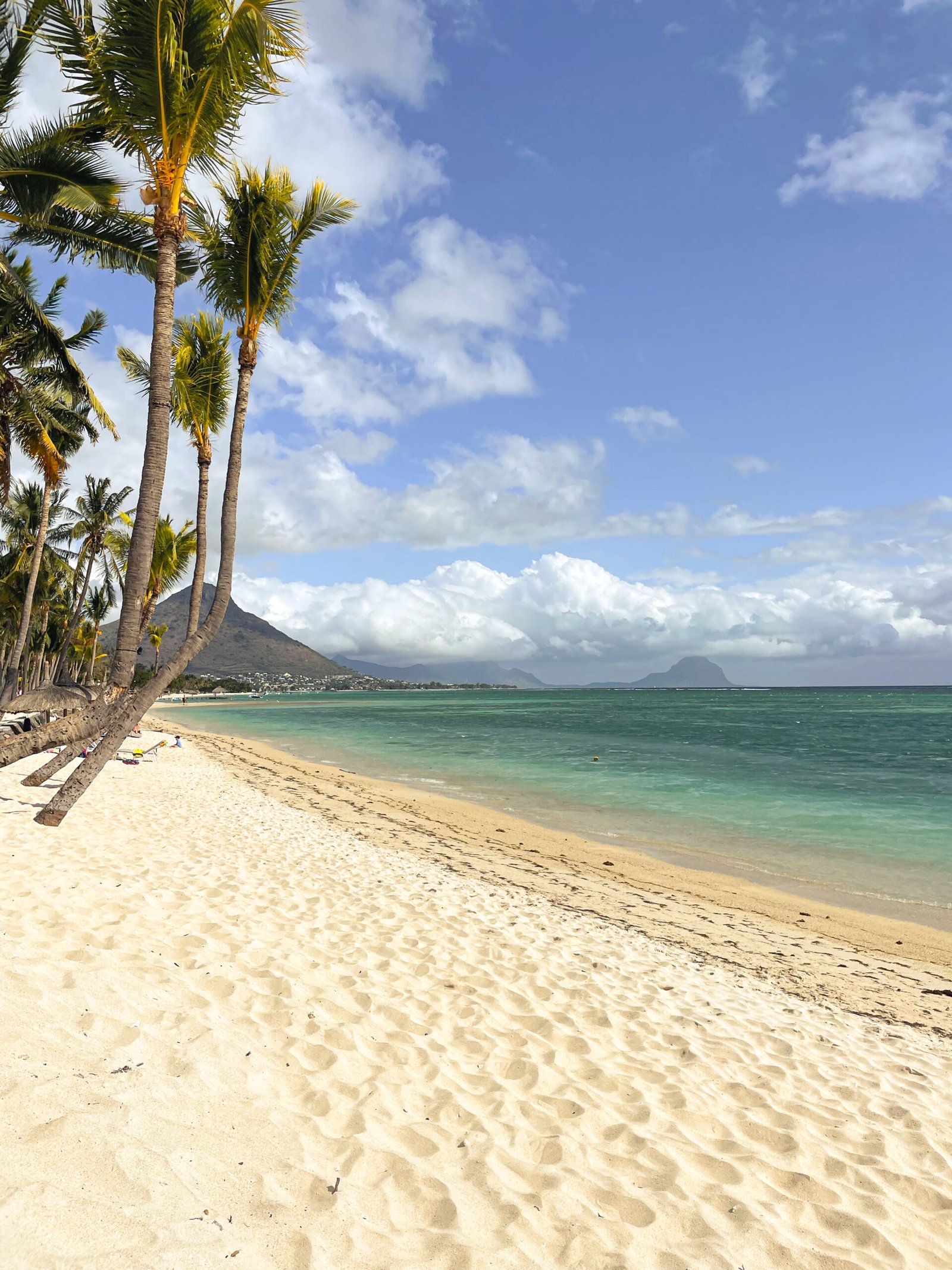 plage sable blanc palmier ile maurice